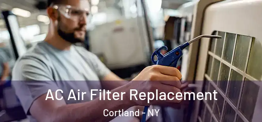  AC Air Filter Replacement Cortland - NY