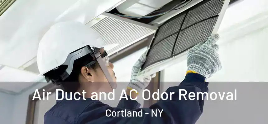  Air Duct and AC Odor Removal Cortland - NY