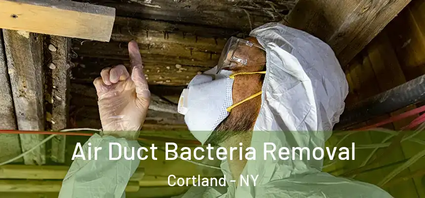  Air Duct Bacteria Removal Cortland - NY