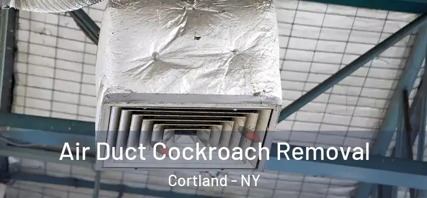  Air Duct Cockroach Removal Cortland - NY