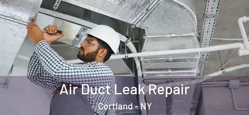  Air Duct Leak Repair Cortland - NY