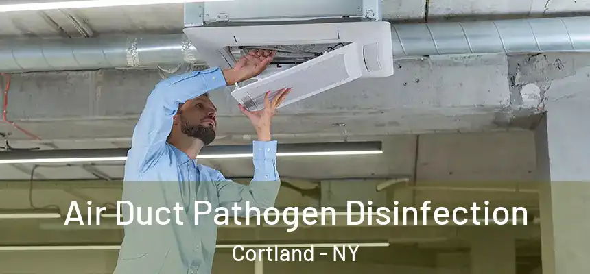  Air Duct Pathogen Disinfection Cortland - NY
