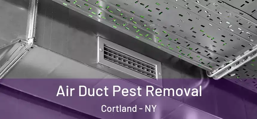 Air Duct Pest Removal Cortland - NY