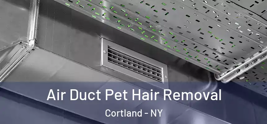  Air Duct Pet Hair Removal Cortland - NY