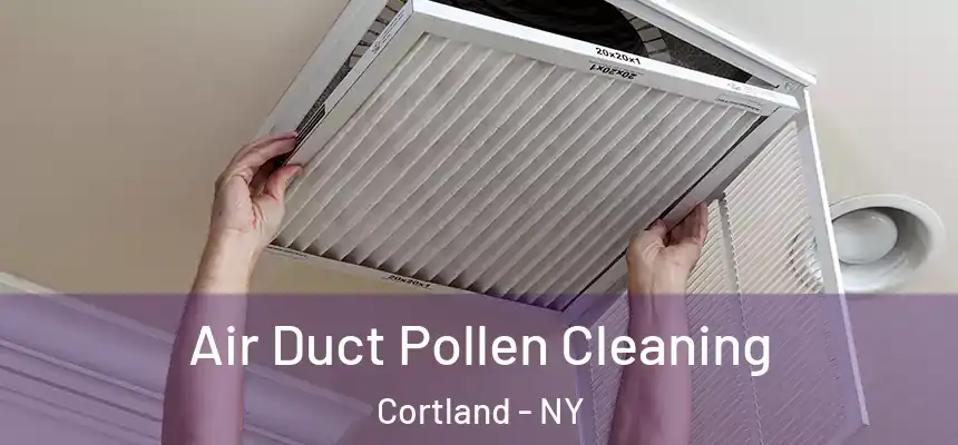  Air Duct Pollen Cleaning Cortland - NY