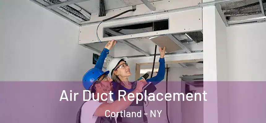 Air Duct Replacement Cortland - NY