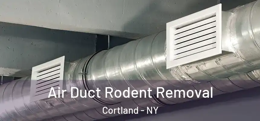  Air Duct Rodent Removal Cortland - NY