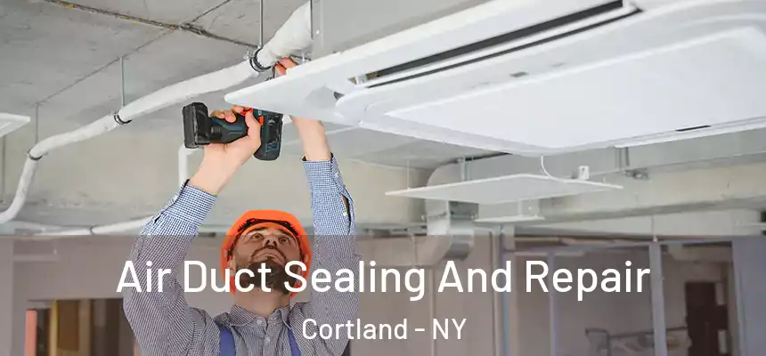  Air Duct Sealing And Repair Cortland - NY
