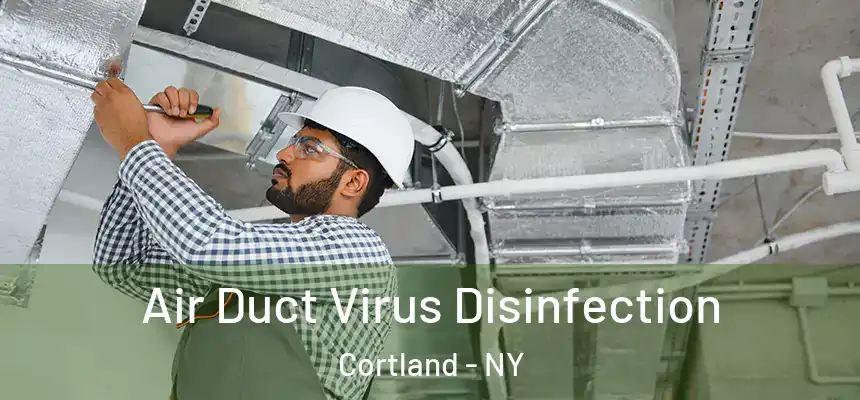  Air Duct Virus Disinfection Cortland - NY