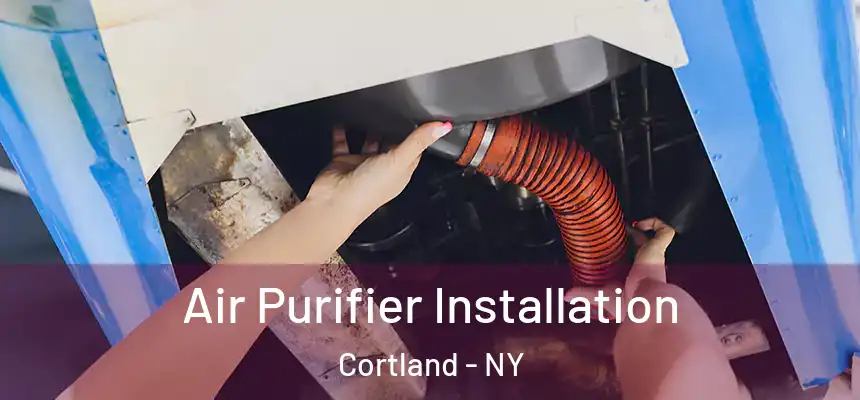  Air Purifier Installation Cortland - NY