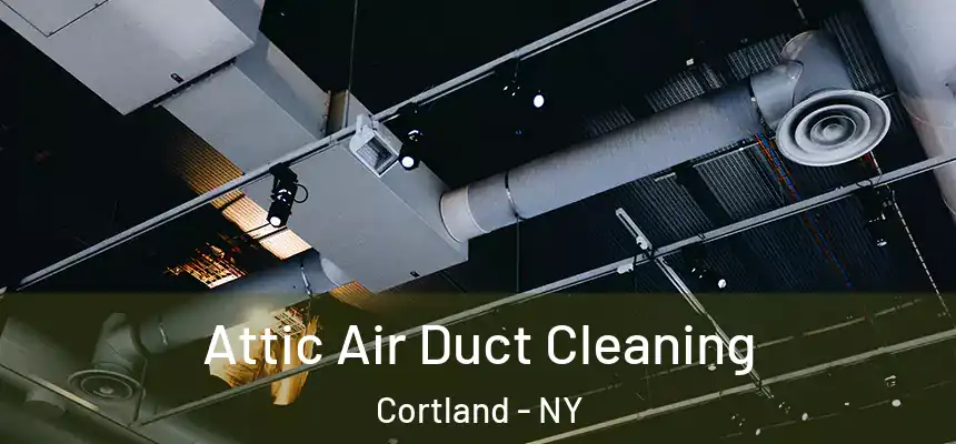 Attic Air Duct Cleaning Cortland - NY