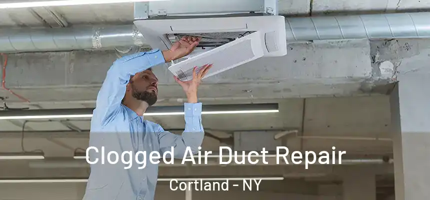  Clogged Air Duct Repair Cortland - NY