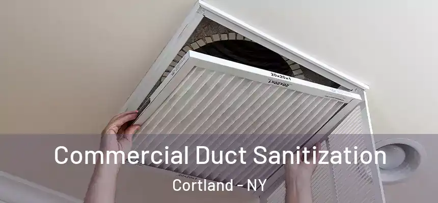  Commercial Duct Sanitization Cortland - NY