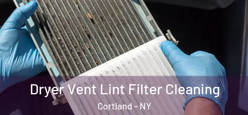  Dryer Vent Lint Filter Cleaning Cortland - NY