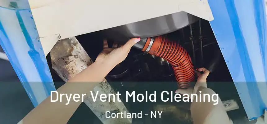  Dryer Vent Mold Cleaning Cortland - NY