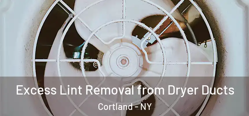  Excess Lint Removal from Dryer Ducts Cortland - NY