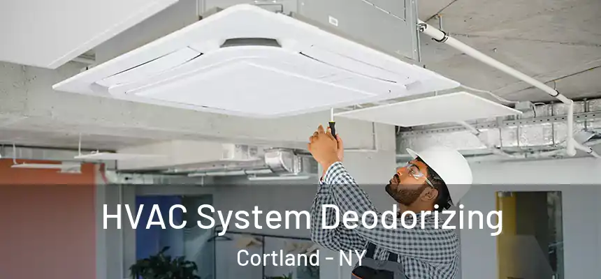  HVAC System Deodorizing Cortland - NY