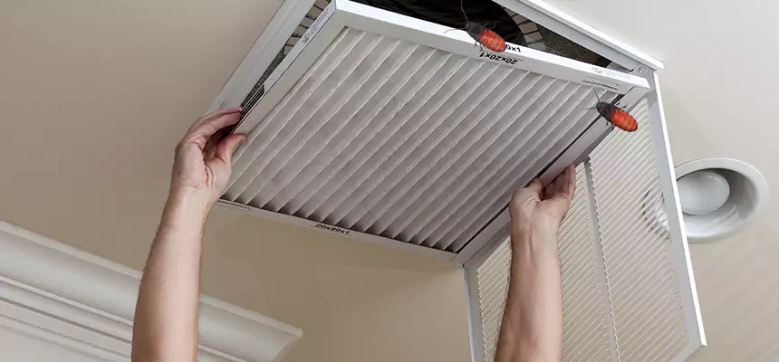 Preventive Cockroach-Proofing for Ducts in Cortland