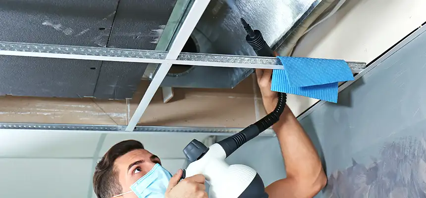 Our Air Duct Rodent Removal Services in Cortland, NY