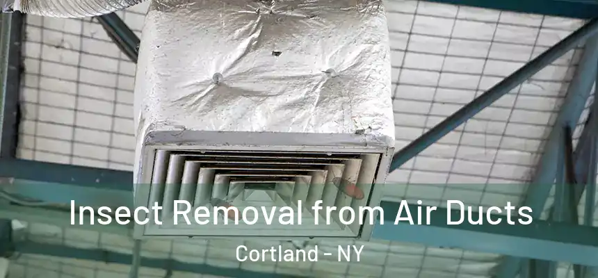  Insect Removal from Air Ducts Cortland - NY