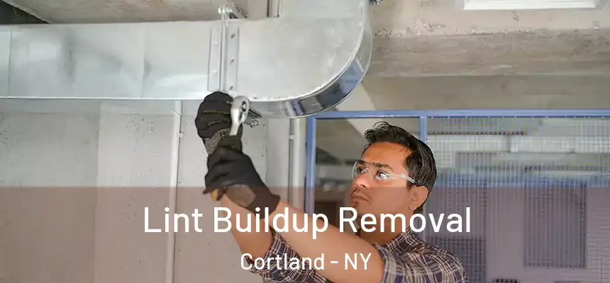  Lint Buildup Removal Cortland - NY