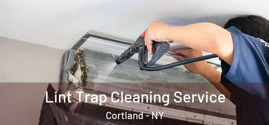  Lint Trap Cleaning Service Cortland - NY