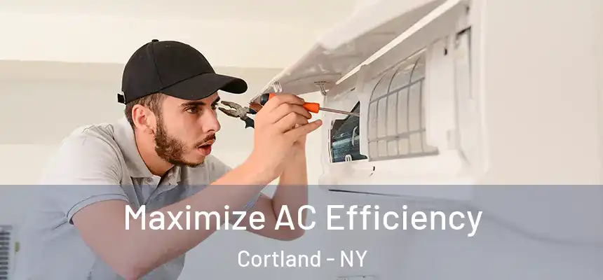  Maximize AC Efficiency Cortland - NY