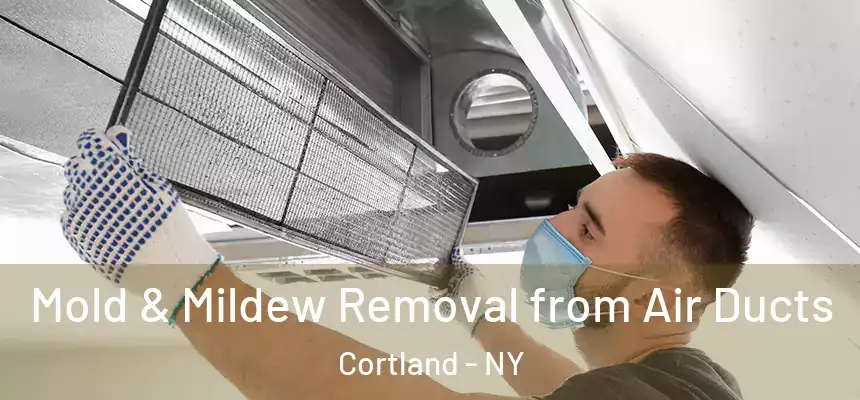 Mold & Mildew Removal from Air Ducts Cortland - NY