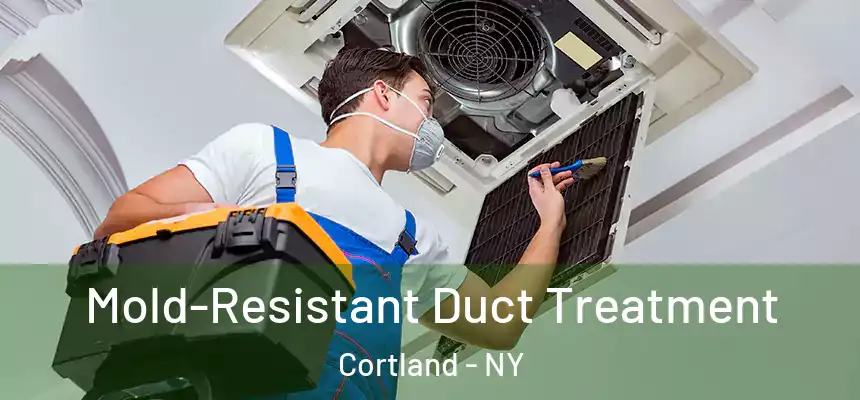  Mold-Resistant Duct Treatment Cortland - NY