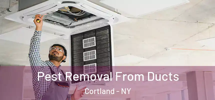  Pest Removal From Ducts Cortland - NY