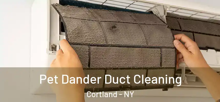  Pet Dander Duct Cleaning Cortland - NY