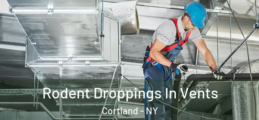  Rodent Droppings In Vents Cortland - NY