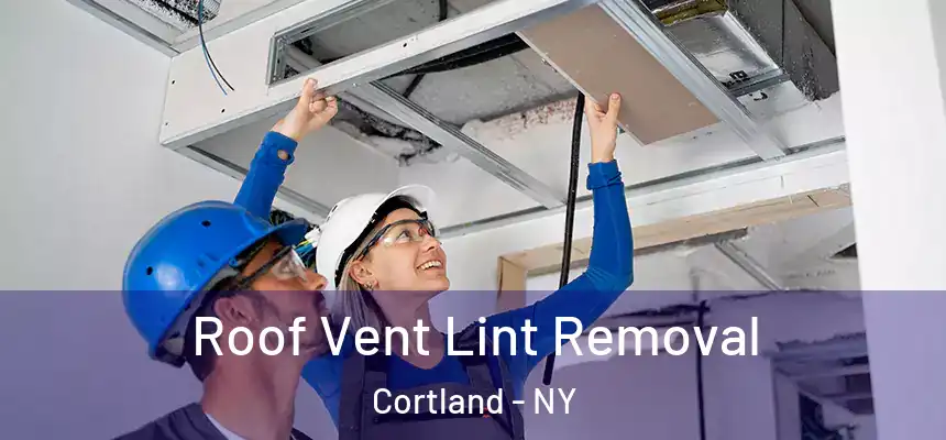  Roof Vent Lint Removal Cortland - NY
