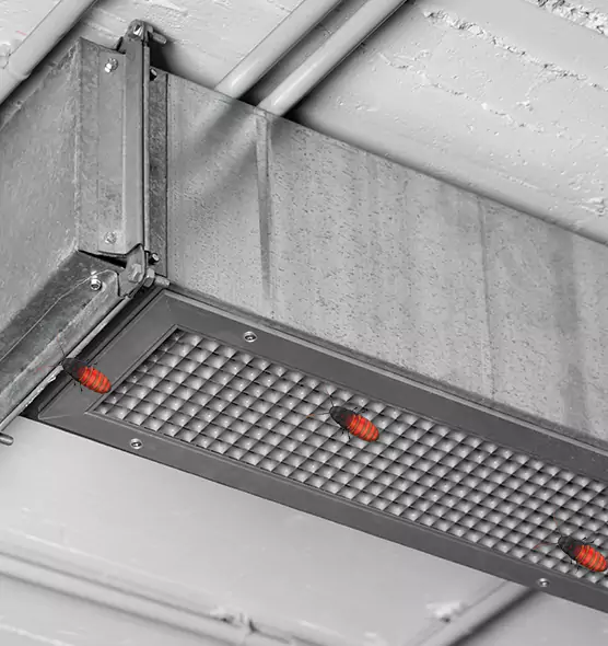 About Air Duct Cockroach Removal in Cortland, NY