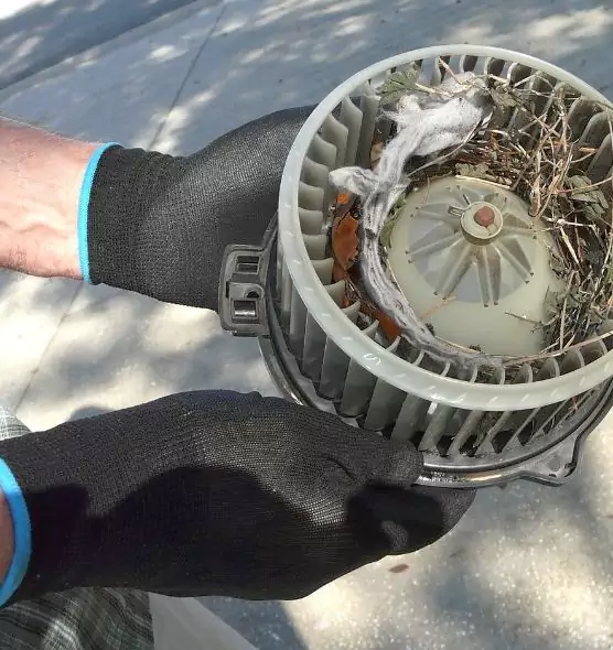 About Air Duct Mice Removal in Cortland, NY