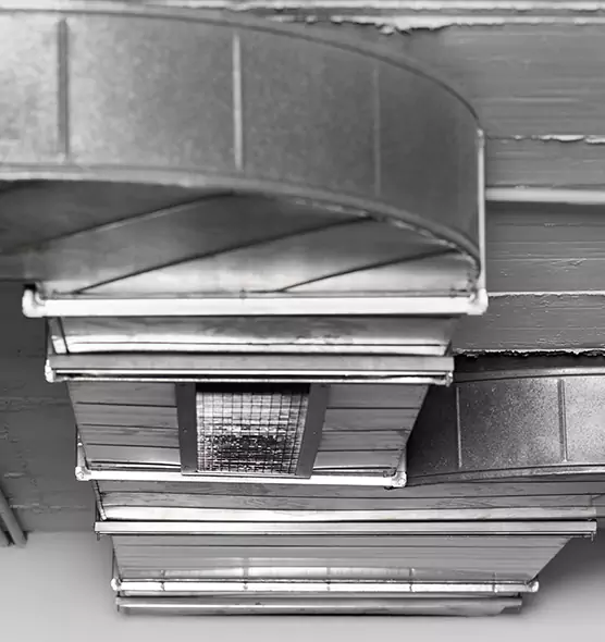 Professional Air Duct Pet Hair Removal in Cortland, NY