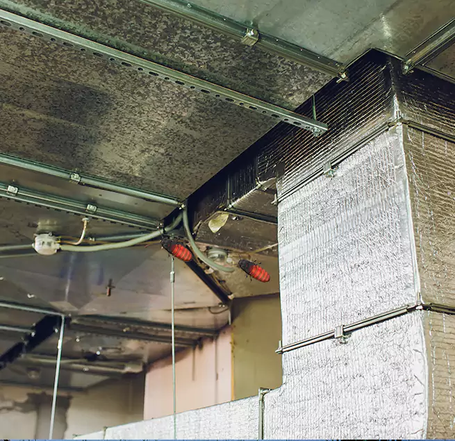 Why Homeowners & Businesses Trust Us in Cortland, NY?