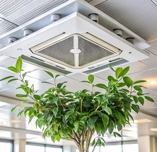 Why Homeowners & Businesses Trust Us in Cortland, NY