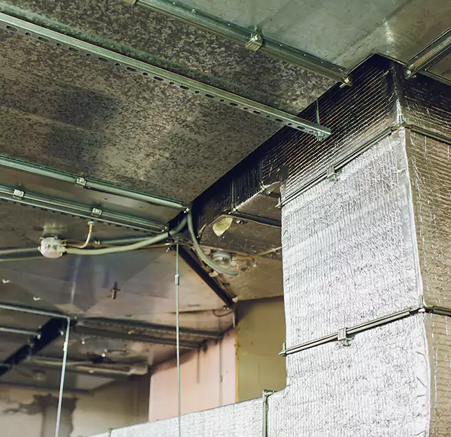 Why Homeowners & Businesses Trust Us in Cortland, NY?