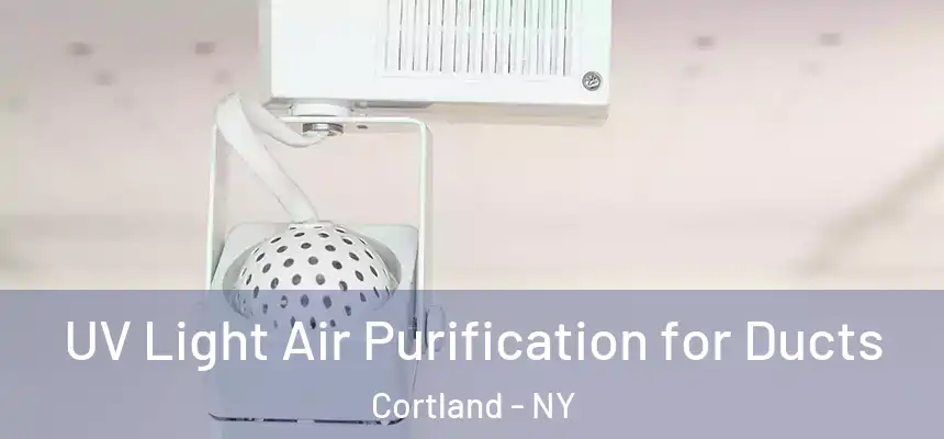  UV Light Air Purification for Ducts Cortland - NY